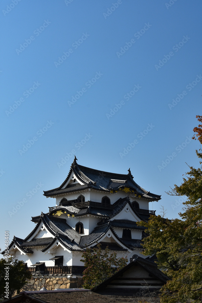 Fototapeta premium 秋の青空に映える国宝彦根城