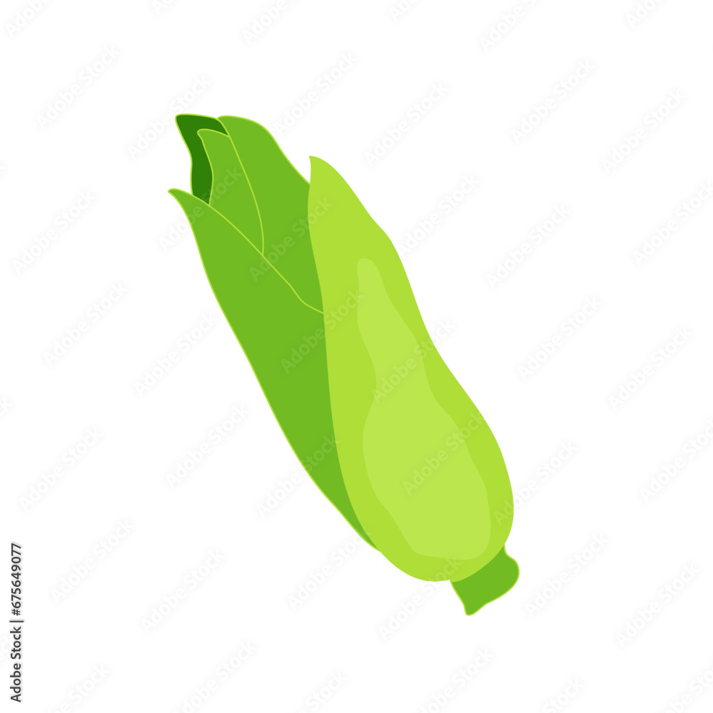 Fototapeta premium Corn illustration