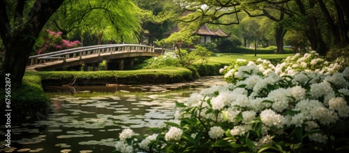 The picturesque landscape with its lush green garden and towering trees was the perfect background for the serene water flowing through a wooden bridge creating a harmonious blend of nature 