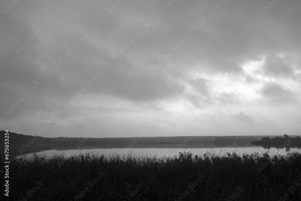 Forest lake in foggy rainy weather. Black and white.