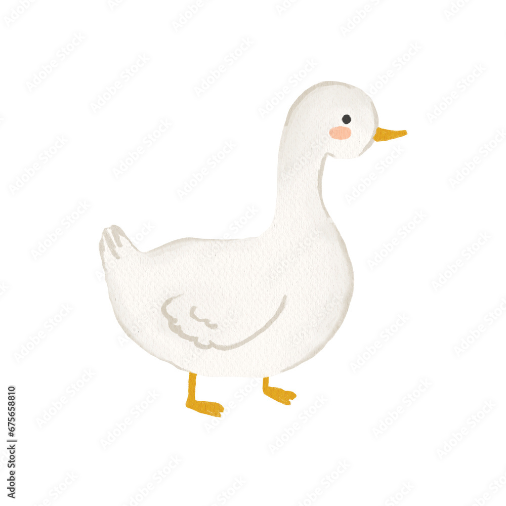 That cute white duck kids' illustration