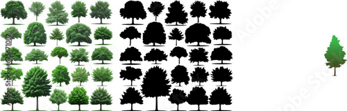 Silhouettes of Pine Trees set  Tree and Firs against a White Background. Forest Shapes and Templates for Nature-Themed Vector Designs.