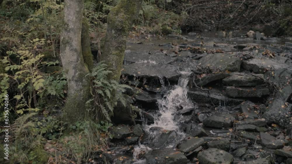 A small stream of running water in a dark woodland forest in England A small stream of running water in a dark woodland forest in England