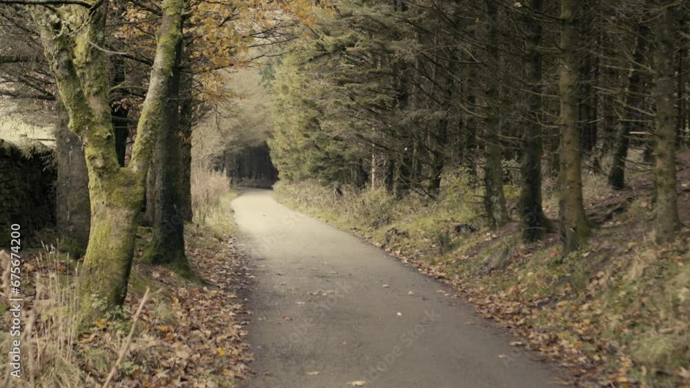 A long farm path leading to Pendle Hill in Lancashire on an Autumn day