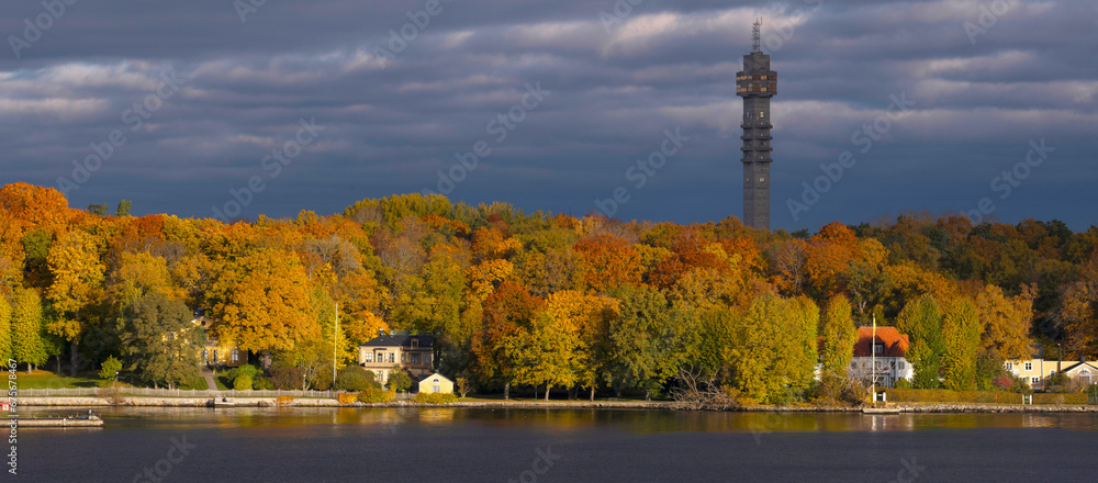 Fototapeta premium Color full view over the island Djurgården , grey sky back ground and low morning sun light, early autumn morning in Stockholm