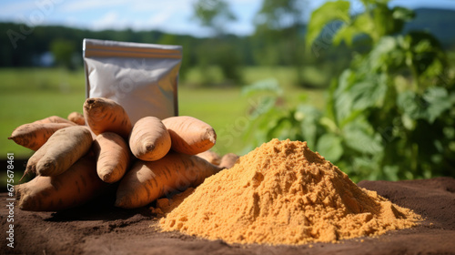 Sweet Potato powder freeze dried raw materials for the food industry on farm background photo