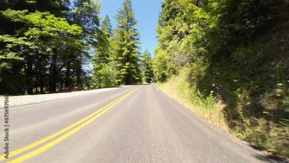Redwood Avenue of Giants Northbound 2 Stephens Grove 03 Front View Driving Plates of North California USA Ultra Wide Redwood Avenue of Giants Northbound 2 Stephens Grove 03 Front View Driving Plates of North California USA Ultra Wide