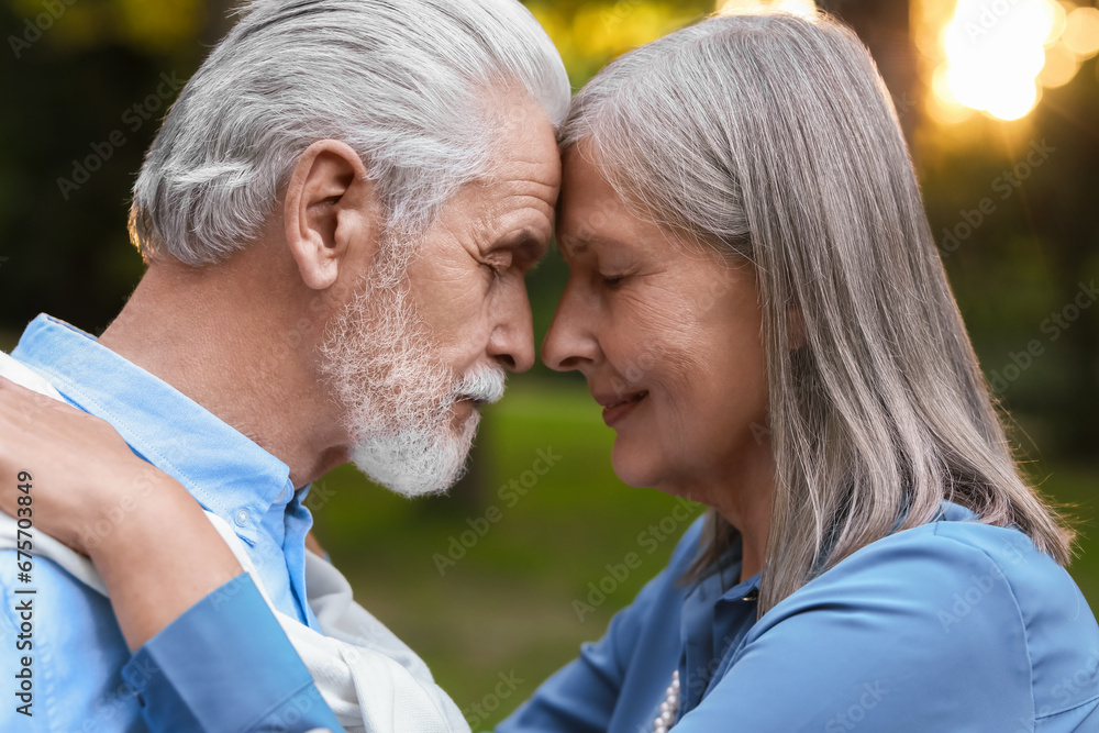 Affectionate senior couple spending time together outdoors. Romantic date