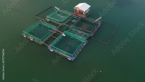 Milkfish cage farming in clear green water bay aerial view in Philippines photo