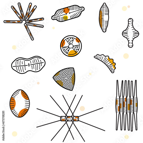 Diatoms are algae that live in houses made of glass. They are the only organism on the planet with cell walls composed of transparent, opaline silica. 
