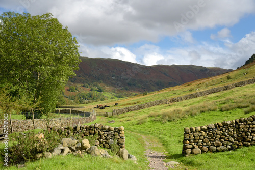 Obraz na płótnie Dry stone wall across footpath in the Great Langdale Valley in the Lake District w salonie