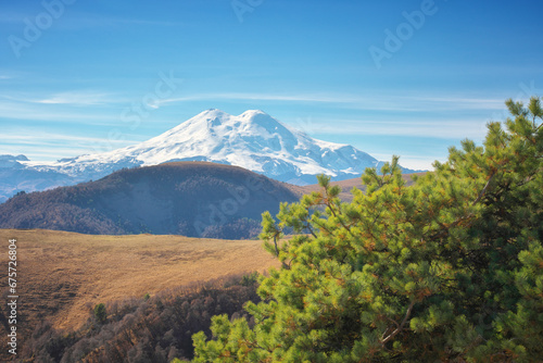 Elbrus mountain landscape and autumn pine.