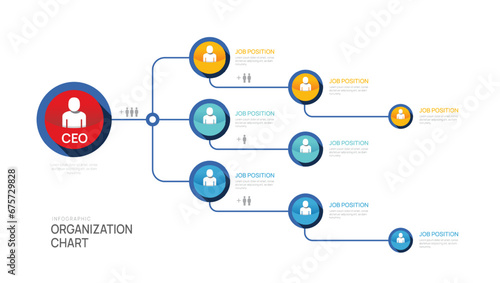 Infographic template for organization chart with business avatar icons. vector infographic for business.