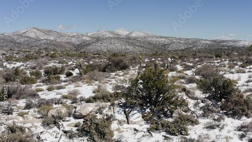 Wallpaper Mural Aerial view of the Joshua Tress National Park covered with snow. Torontodigital.ca