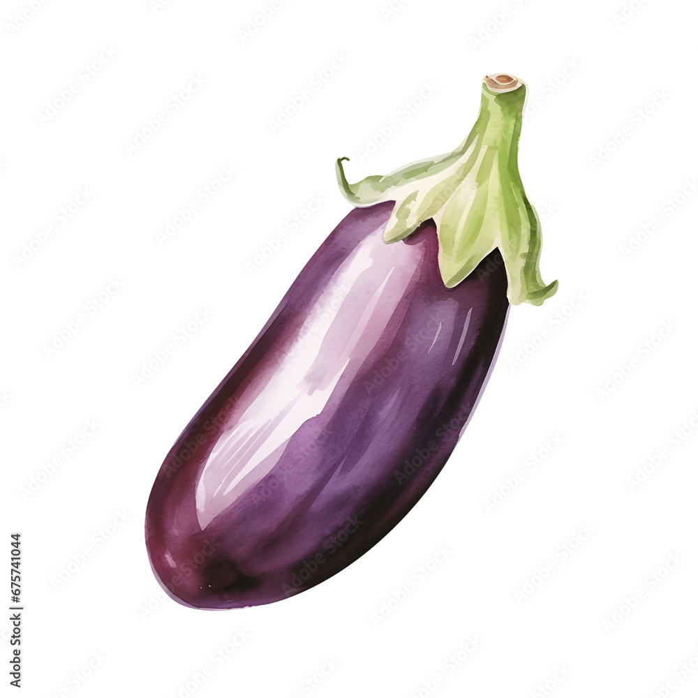 Watercolor eggplant vegetable isolated on white background.Eggplant plants.Realistic natural foods for kitchen.
Watercolor eggplant vegetable isolated on white background.Eggplant plants.Realistic natural foods for kitchen.