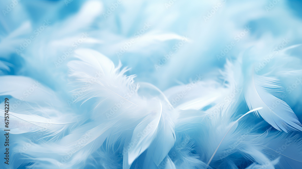 Beautiful light blue feathers texture background. Beautiful light blue feathers texture background.