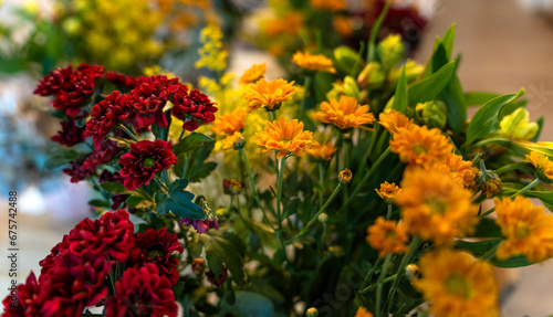 Natural Flowers. Fresh flowers background.