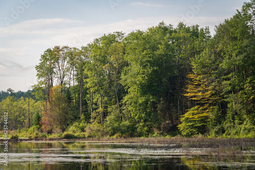 Finger Lakes View at the Hinchcliff Family Preserve