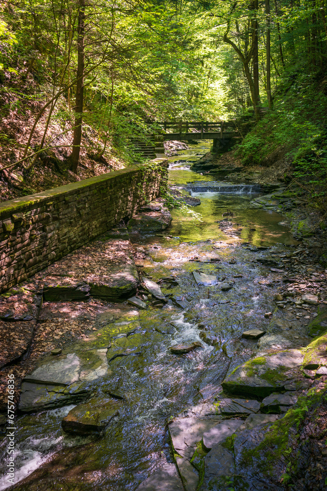 Obraz premium Fillmore Glen State Park