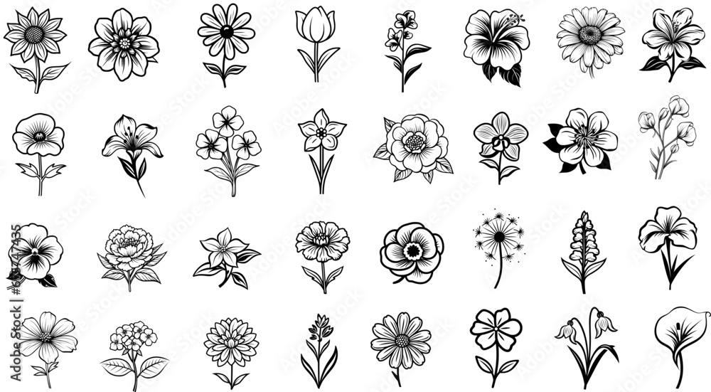Vector set of flowers - obrazy, fototapety, plakaty 