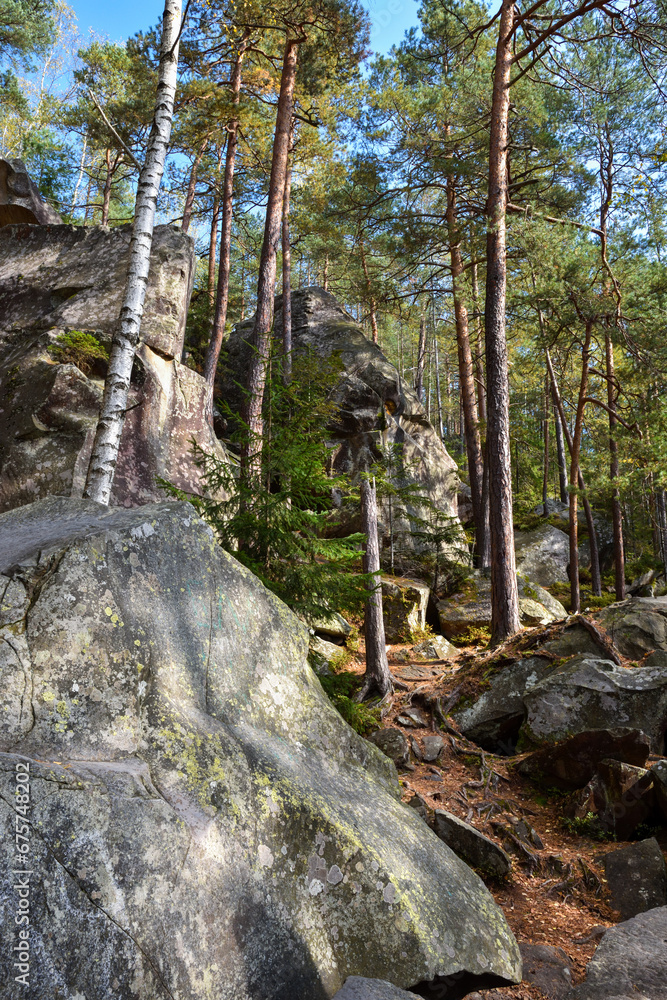 Fototapeta premium Giant stones in the middle of the Carpathian forest. Beautiful stone rocks.