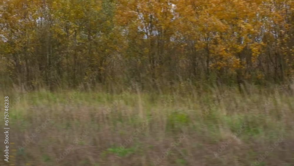 Rustic landscape. POV side view from a car window. Autumnal forest, field in distance. Brown colored nature, earth tone. Late autumn, winter meadow. Auto in motion. Driving down an empty country road Rustic landscape. POV side view from a car window. Autumnal forest, field in distance. Brown colored nature, earth tone. Late autumn, winter meadow. Auto in motion. Driving down an empty country road
