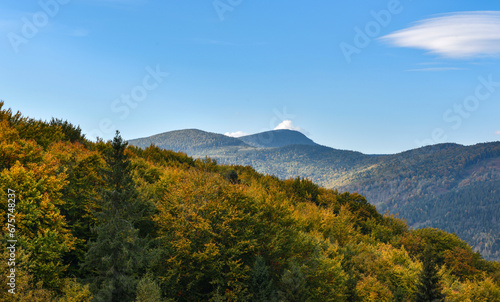 Beautiful autumn mountain landscape with bright trees.