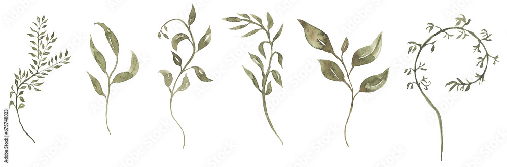 Watercolor leaves branch illustration set, greenery clipart, foliage - obrazy, fototapety, plakaty 