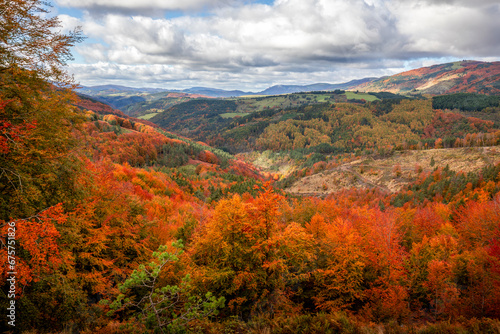 Deciduous forest in mid-autumn in the eastern valleys of the Navarrese Pyrenees, from the port of Laza in Navarra, Spain