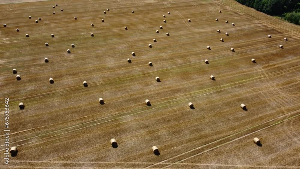 beautiful aerial view of the straw bales in a wheat field beautiful aerial view of the straw bales in a wheat field