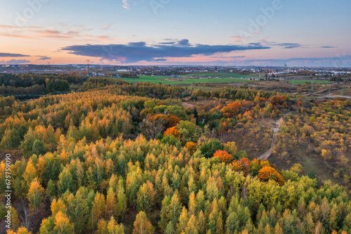 Aerial view of the forest in Rotmankai, Poland photo