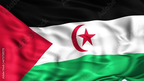 Sahrawi Arab Democratic Republic Waving Flag Background photo