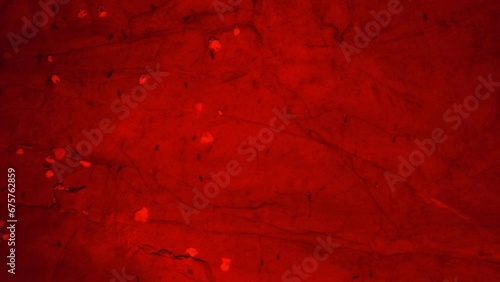 The cave is in red. Lumps of spongy mold (like agaric mineral) underground. Flies (like cabbage root fly) hibernate underground in the imago phase