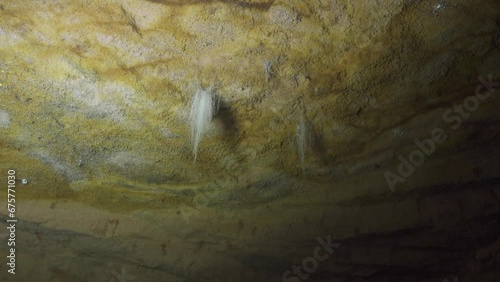 Silvery mold fungi (Mucor mucedo) grows in a cave without light. Speleobios, Cave biocenosis photo