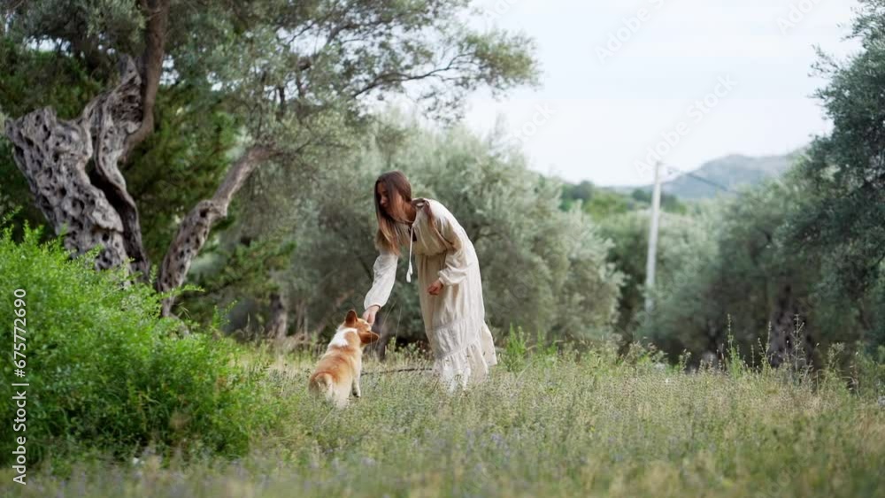Joyful Dance in the Meadow: Woman and Welsh Corgi Pembroke dog in Harmony with Nature Joyful Dance in the Meadow: Woman and Welsh Corgi Pembroke dog in Harmony with Nature