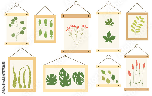 Herbarium. Set of silhouettes of botanical elements. Garden and forest collection of leaves and grass in frames.