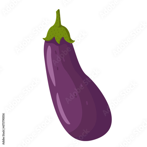 Eggplant isolated on white background vector graphics