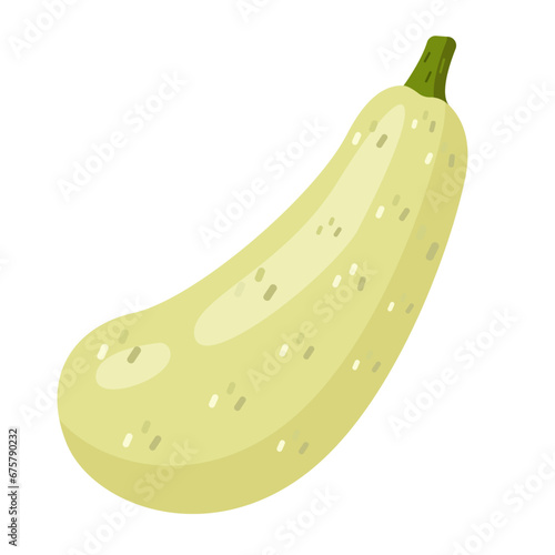 Green zucchini isolated on white background vector graphics