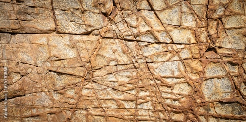 Detail of stone textured by the geological action of the sea in light and warm tones. Concept backgrounds and textures.