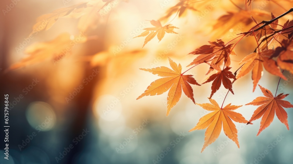 Close-up of sunlit autumn maple leaves with detailed texture. Natures artistry in fall.