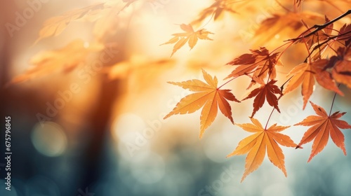 Close-up of sunlit autumn maple leaves with detailed texture. Natures artistry in fall. photo