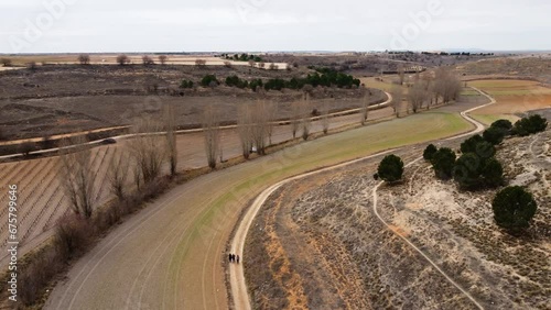 Arroyo Cantarranas and dry poplars.Drone footage in Castilla la Mancha, land of don quijote, vineyards, flat land, cereals, dirt tracks and paths. Horcajo de Santiago in 4K with DJI Mini 2 photo