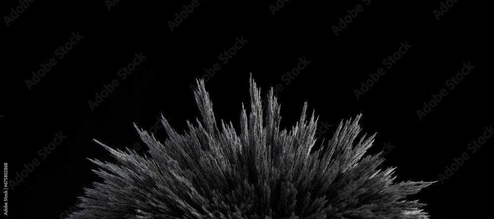 Fototapeta premium Reaction of iron dust to a magnetic field of a strong neodymium magnet on a black background