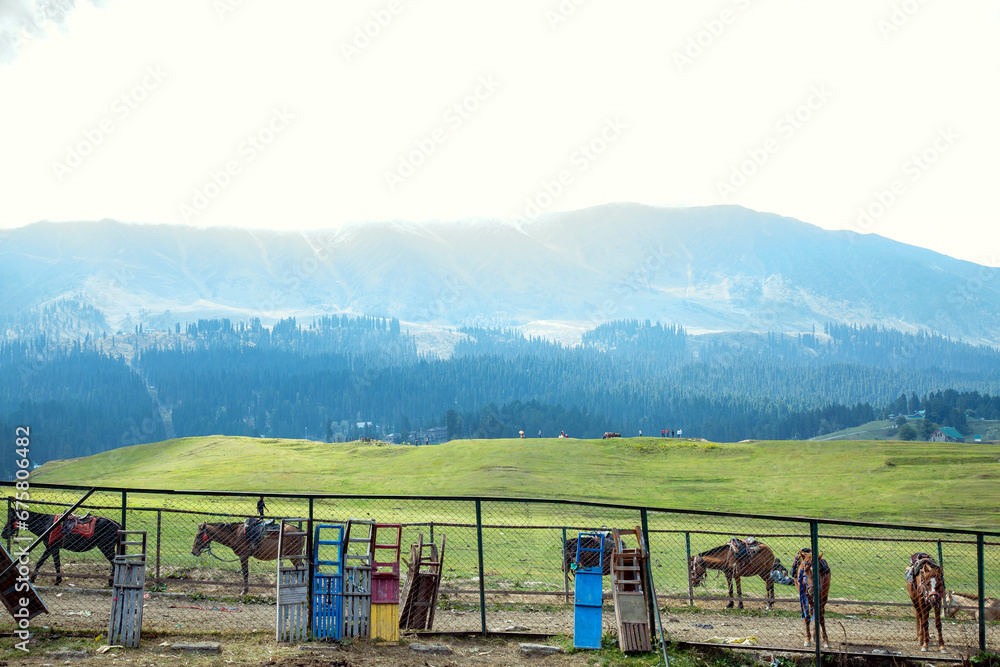 andscape in Gulmarg,Jammu and Kashmir India. andscape in Gulmarg,Jammu and Kashmir India.