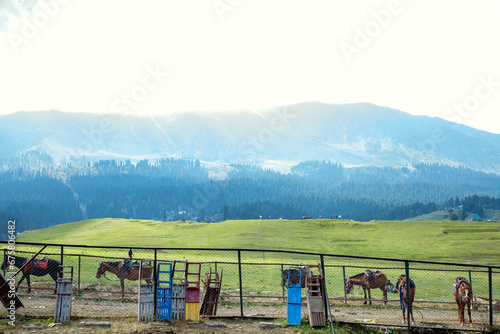 andscape in Gulmarg,Jammu and Kashmir India.