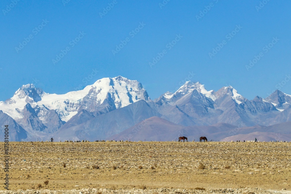 Scene of a herd of horses grazing in a picturesque meadow with majestic mountains in the background