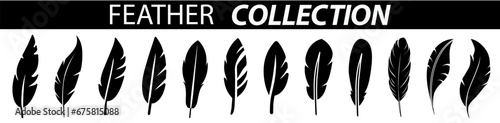 Set of black feather in a flat style. isolated feathers silhouette