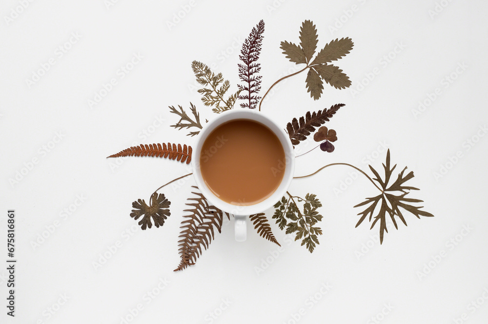 Obraz premium cup of tea with dried leaves
