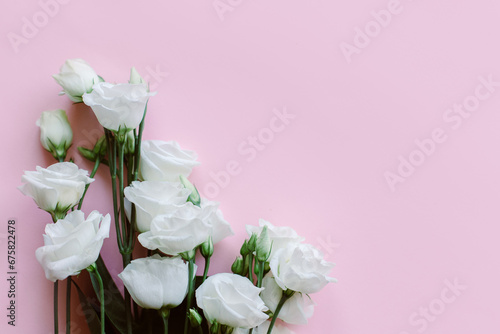 Fototapeta Naklejka Na Ścianę i Meble -  Beautiful white Eustoma (Lisianthus) flowers on a pastel background. Place for text.