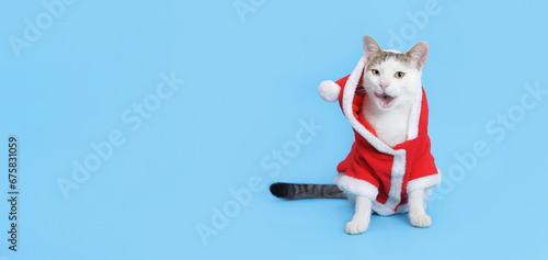 Studio portrait of a white Hungry cat licking its lips. Christmas Cat looks at the camera. Santa cat in Christmas festive outfit on a blue background. Xmas Greeting card. Happy New Year. Copy space © Mariia